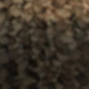 Meet your Posher, Steven